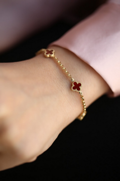 Bordo Küçük Yonca