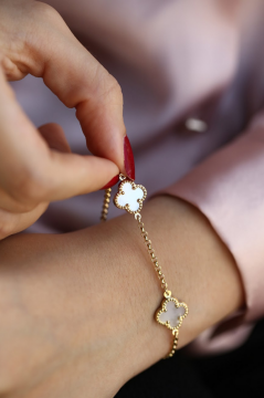 Sedefli Beyaz Büyük Yonca